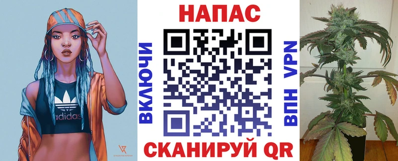 COCAIN Надым