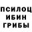 Псилоцибиновые грибы Psilocybine cubensis Shannon Williams