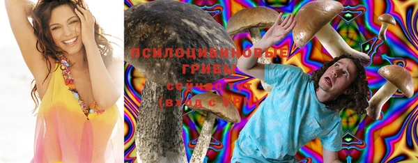 МДПВ Карпинск