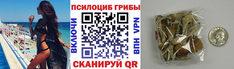 хочу   Надым  Псилоцибиновые грибы Psilocybe 