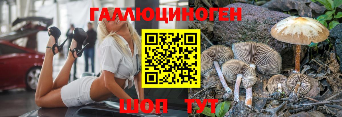 Псилоцибиновые грибы Cubensis Надым